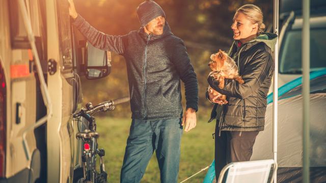 Scandinavian camper family with dog